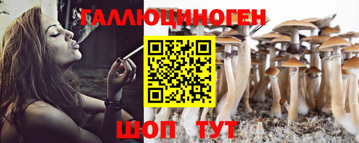 Галлюциногенные грибы Magic Shrooms  Галлюциногенные грибы Magic Shrooms  Вход с VPN  Бузулук 